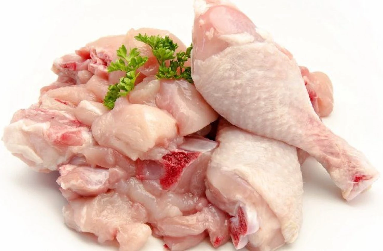 Looking for high-quality chicken that meets Halal standards? Ukraine - 1 Looking for high-quality chicken that meets Halal standards? Ukraine #1
