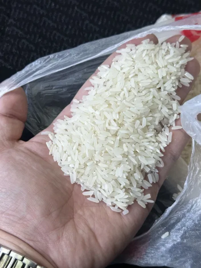 Rice rice variety Laser. #1
