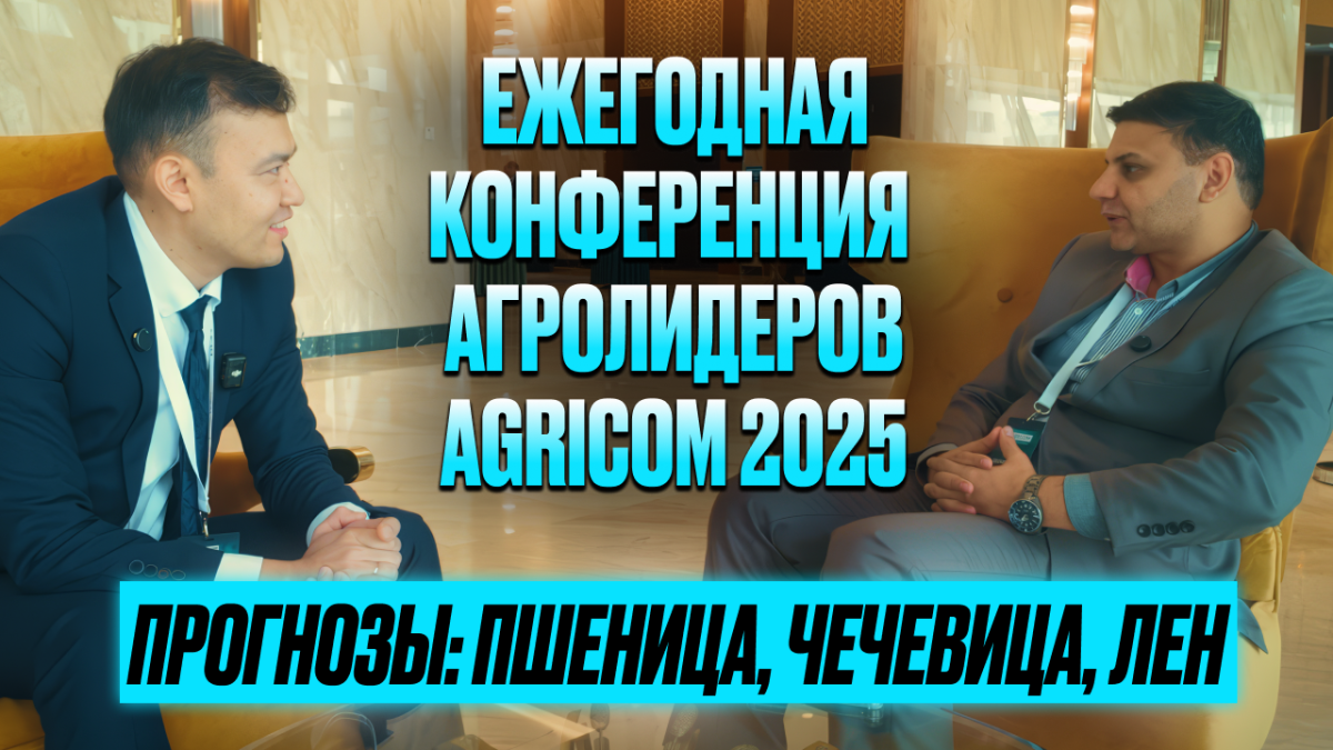 Какие цены ждать на пшеницу, чечевицу? Обзор Агриком 2025